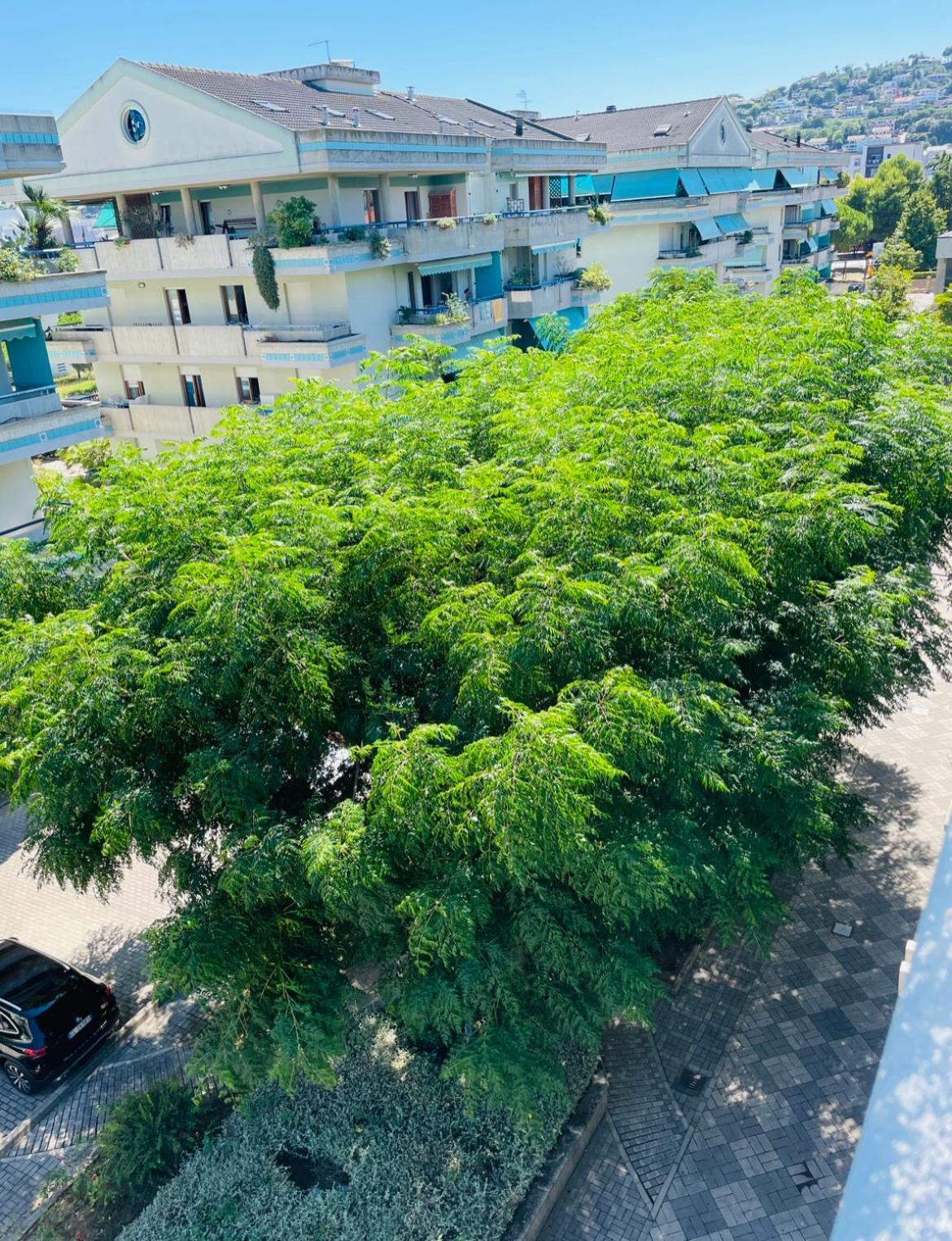 Apartmán Attico Vista E Fronte Mare Zaffiroblu Con Posto Auto Montesilvano Marina Exteriér fotografie